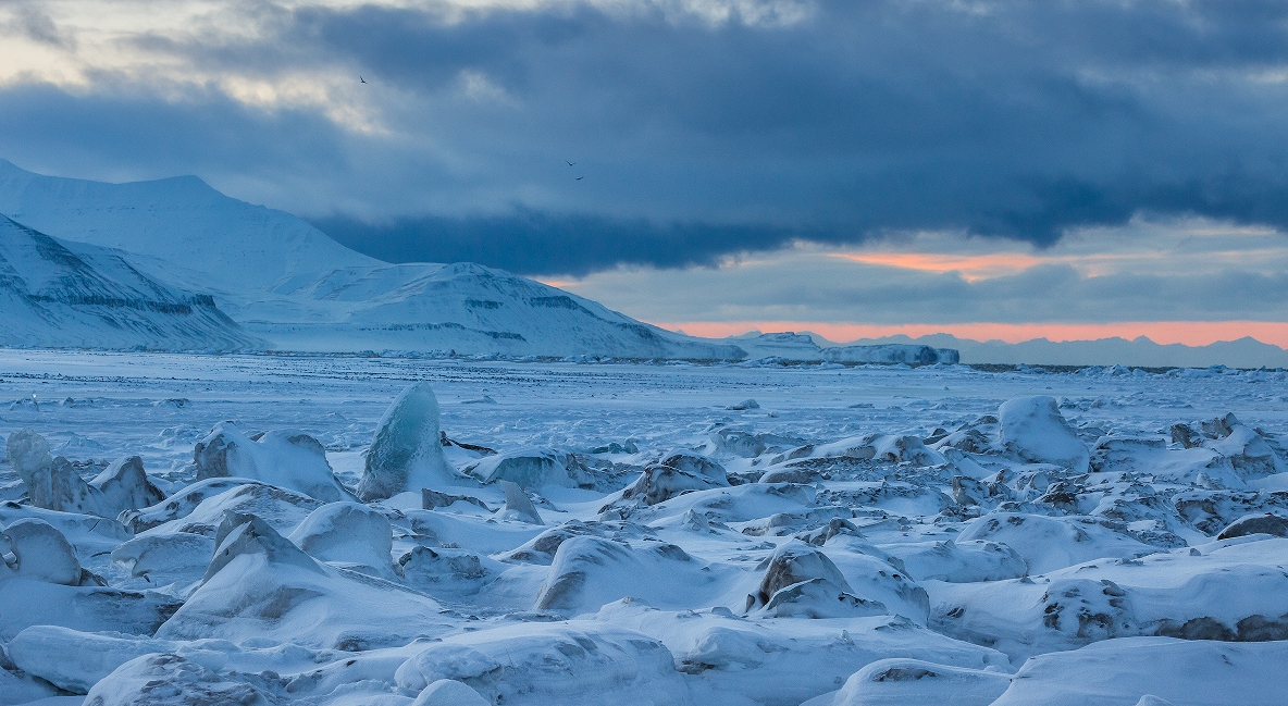 【华人包船北极三岛摄影之旅 22 天团】斯瓦尔巴群岛 - 冰岛环岛 - 格陵兰岛