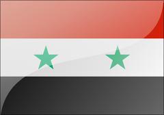 叙利亚商务签证